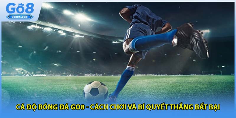 Cá Độ Bóng Đá GO8 - Cách Chơi Và Bí Quyết Thắng Bất Bại