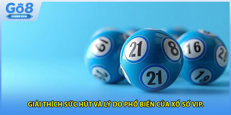 Giải thích sức hút và lý do phổ biến của xổ số vip.