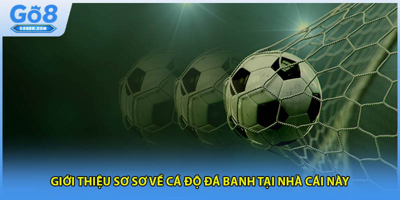 Giới thiệu sơ sơ về cá độ đá banh tại nhà cái này