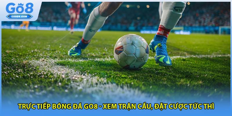 Trực Tiếp Bóng Đá GO8 - Xem Trận Cầu, Đặt Cược Tức Thì